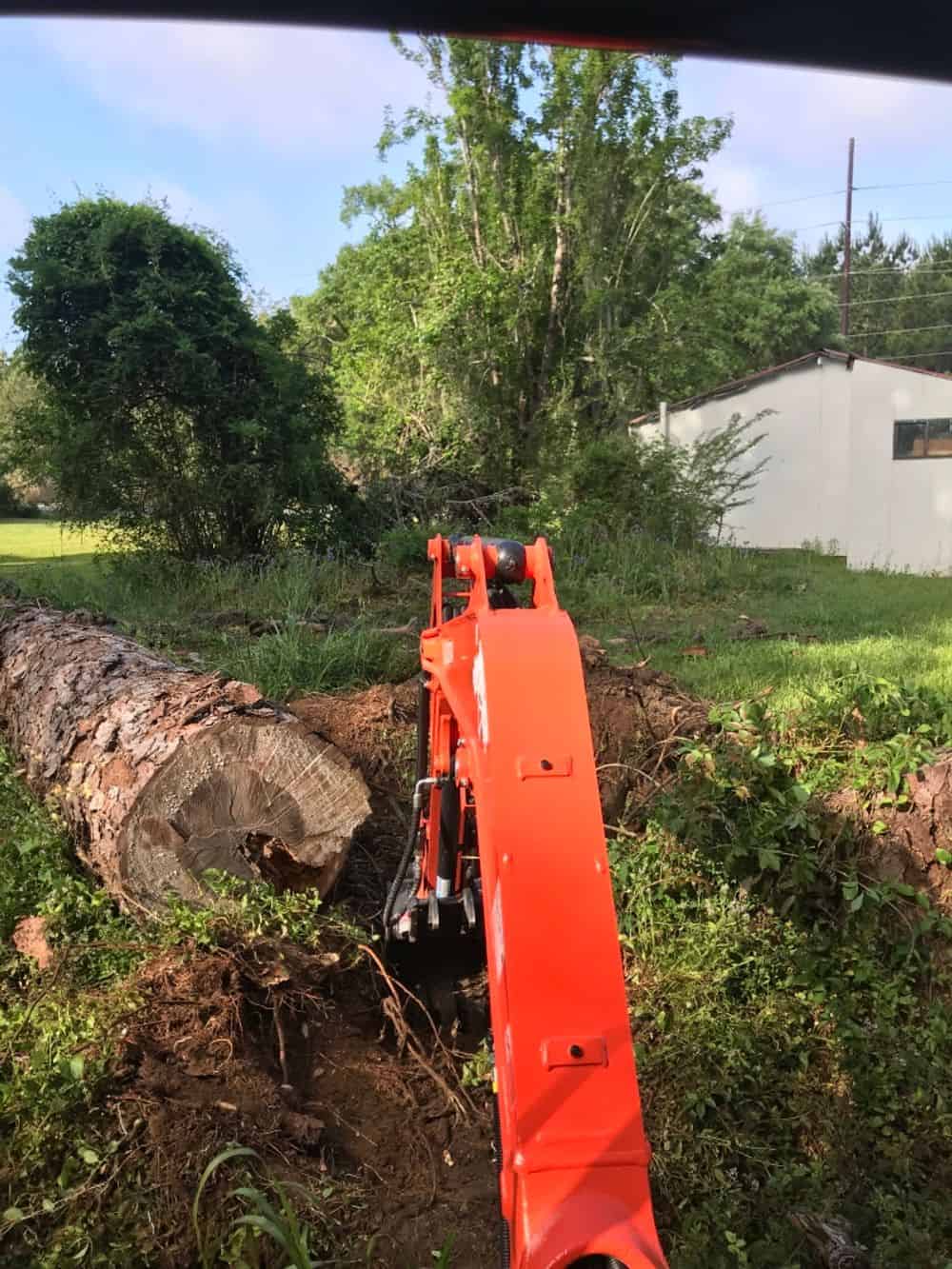 Tree and Stump Removal image