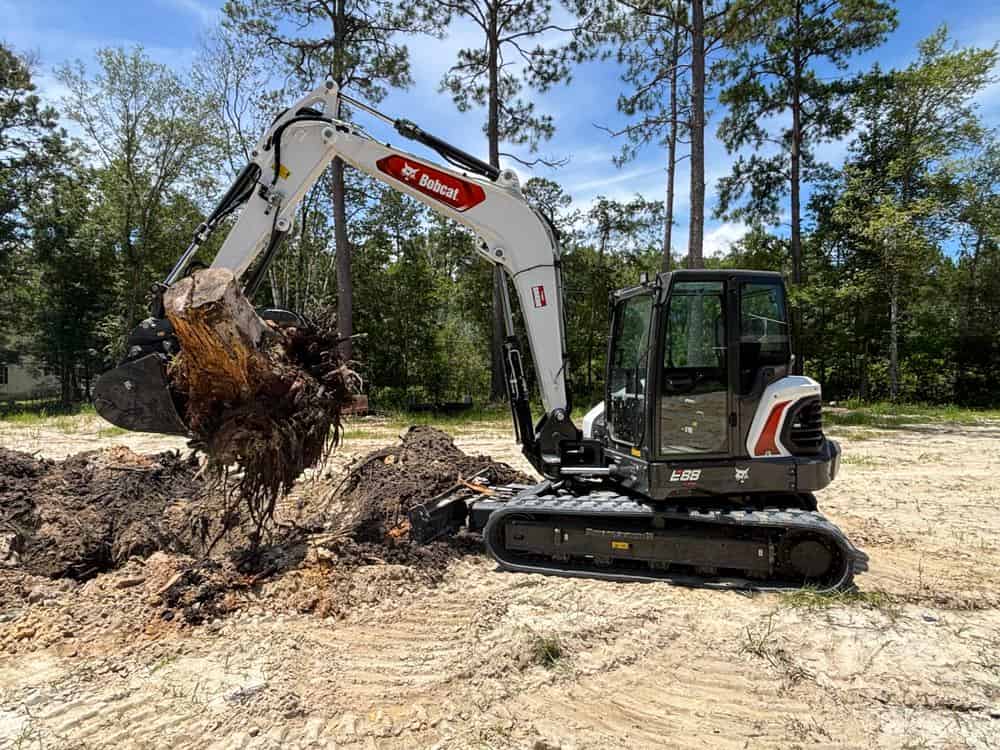 Tree and Stump Removal image