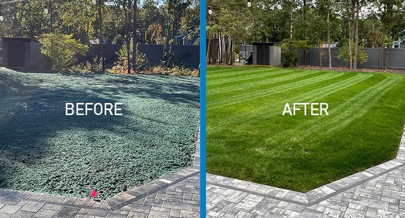 Project We Now Offer Hydro Seeding - Here's What It Can Do image
