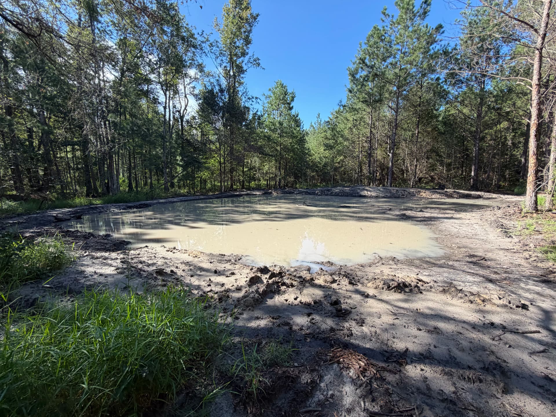 Small Pond Cleanup and Freshening Up That Makes a Real Difference image
