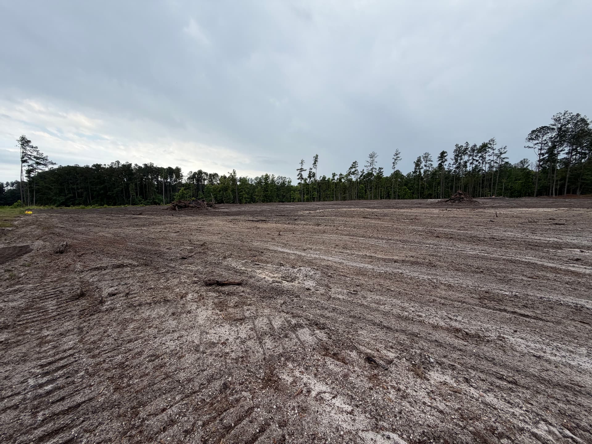 Gallery photos for Land Clearing and Grading Done Right: Image #1