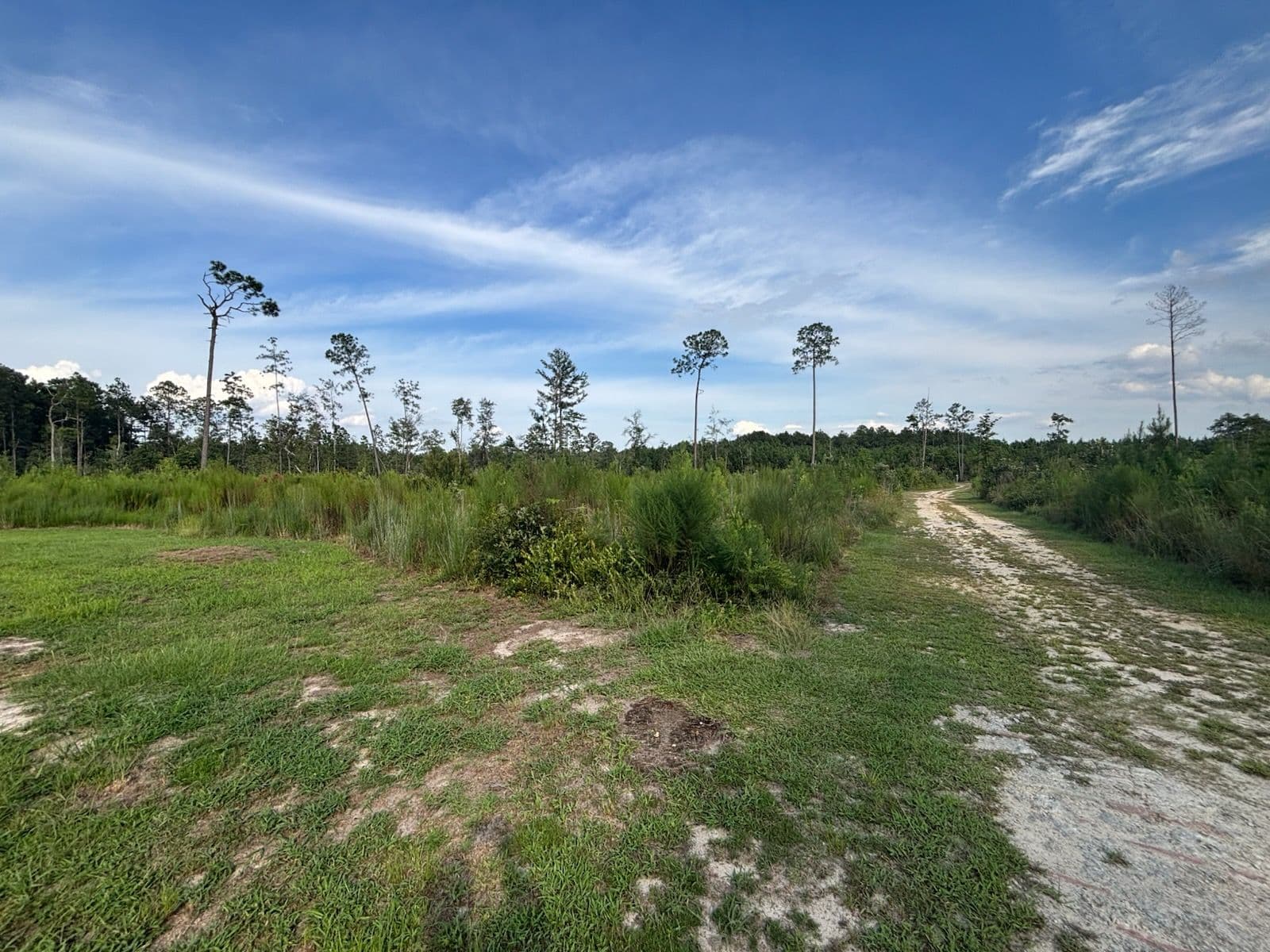 Land Cleared for Breathtaking Views