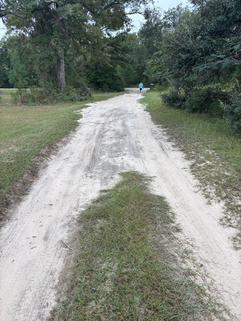 Enhancing Nature's Pathway with Our Expertise image