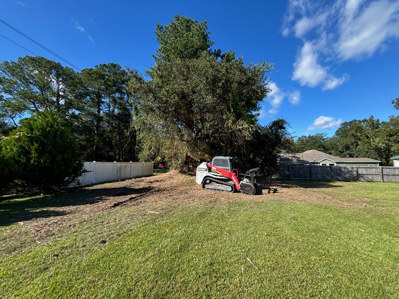 Forestry Mulching in Rincon image