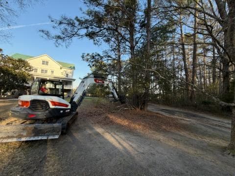 Project Clear View with Expert Tree Removal image