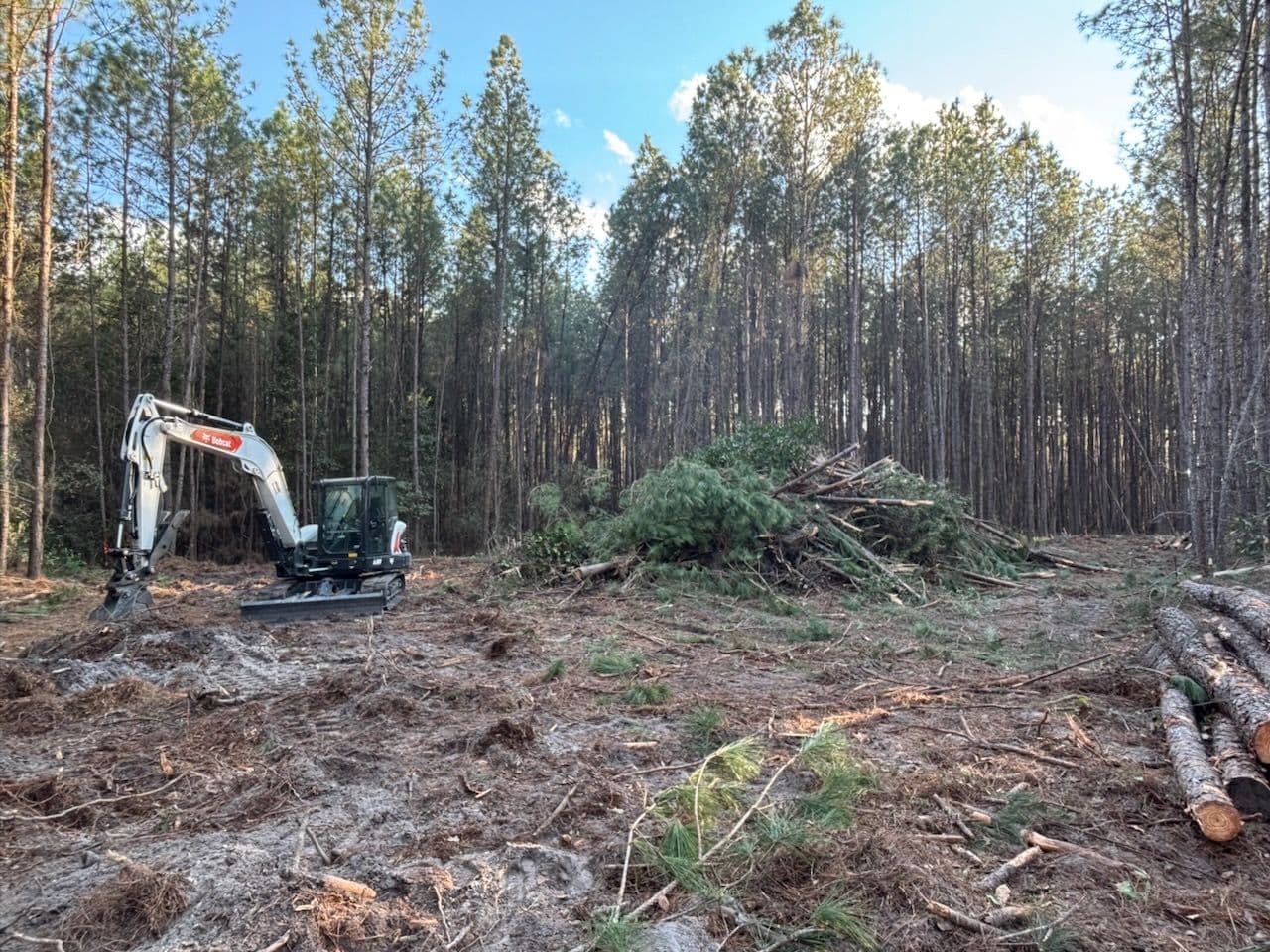 Project Transforming Landscapes in Guyton with Land Clearing Expertise image