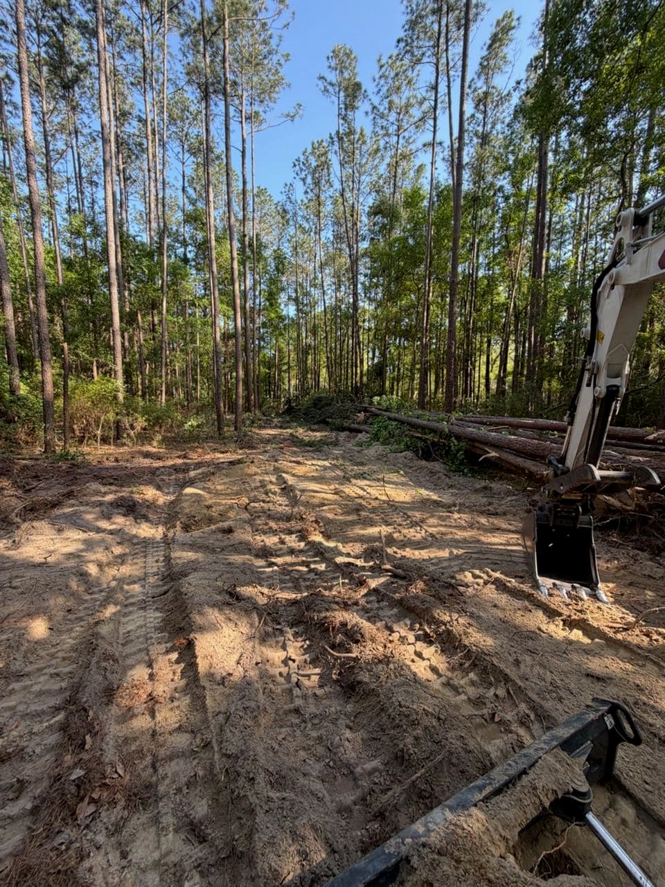 Project From Wooded Lot to Work-Ready Ground image