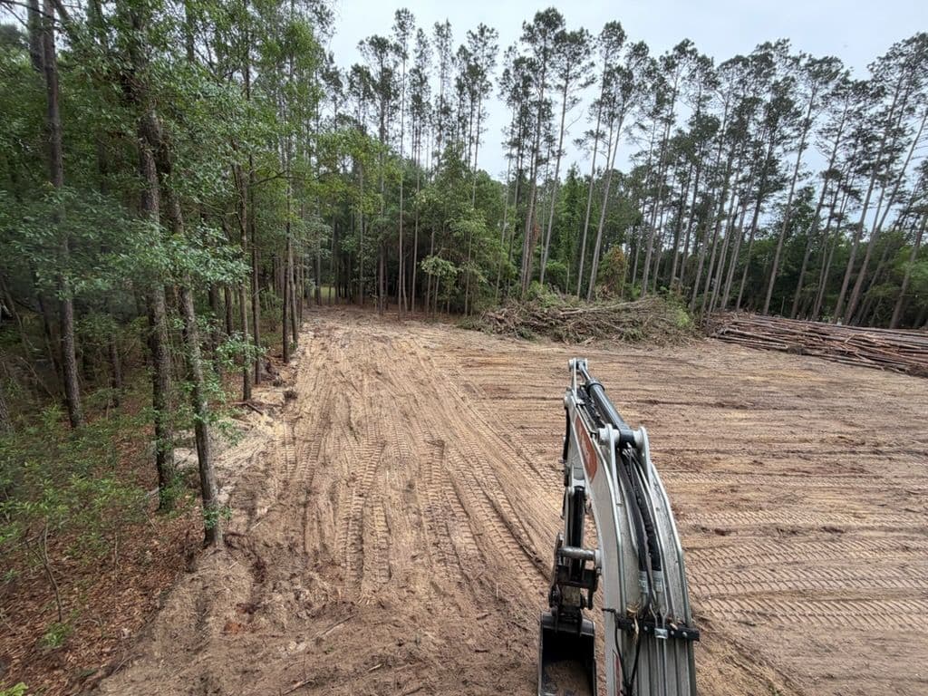 Gallery photos for Land Clearing That Turns Overgrown Property Into Usable Space: Image #1