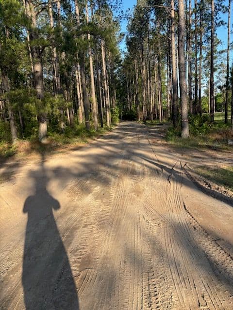 Expert Driveway Transformation in Guyton GA