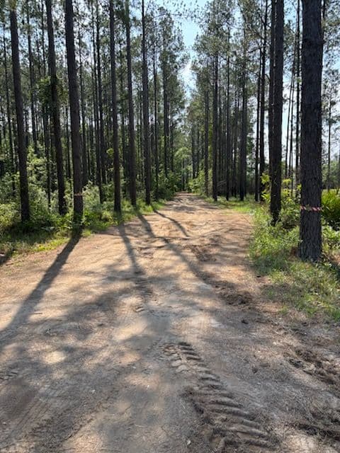 Expert Driveway Transformation in Guyton GA