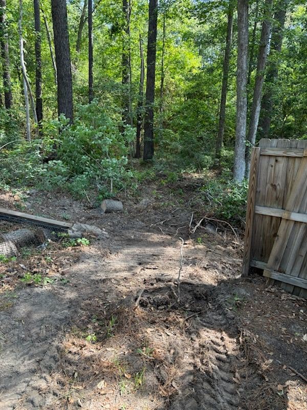 Efficient Stump Removal in Guyton - TW Equipment Services