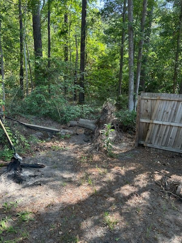 Gallery photos for Efficient Stump Removal in Guyton - TW Equipment Services: Image #1