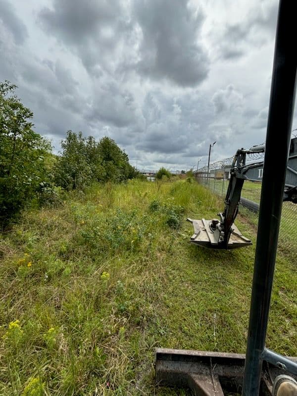 Transforming Landscapes with Expert Bush Hogging