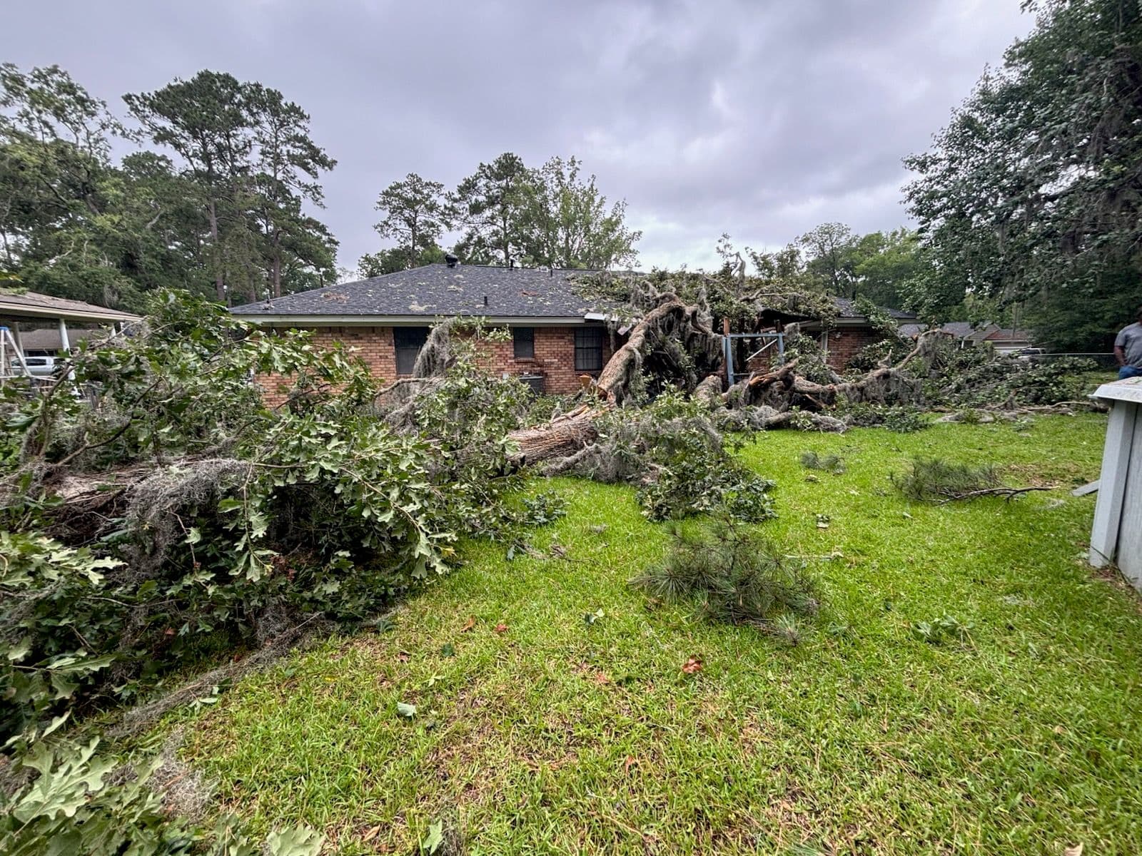 Swift Storm Damage Tree Removal in Backyard