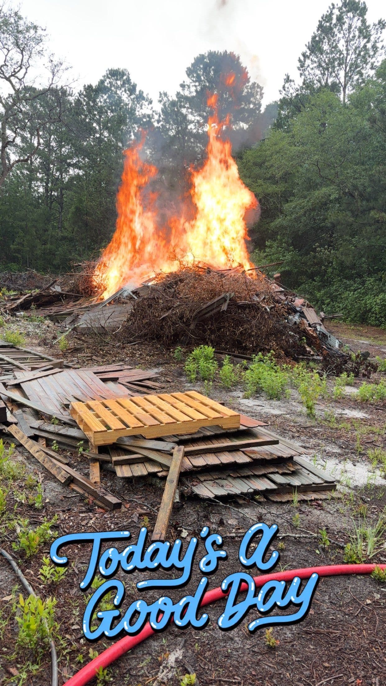 Effective Land Clearing and Debris Management