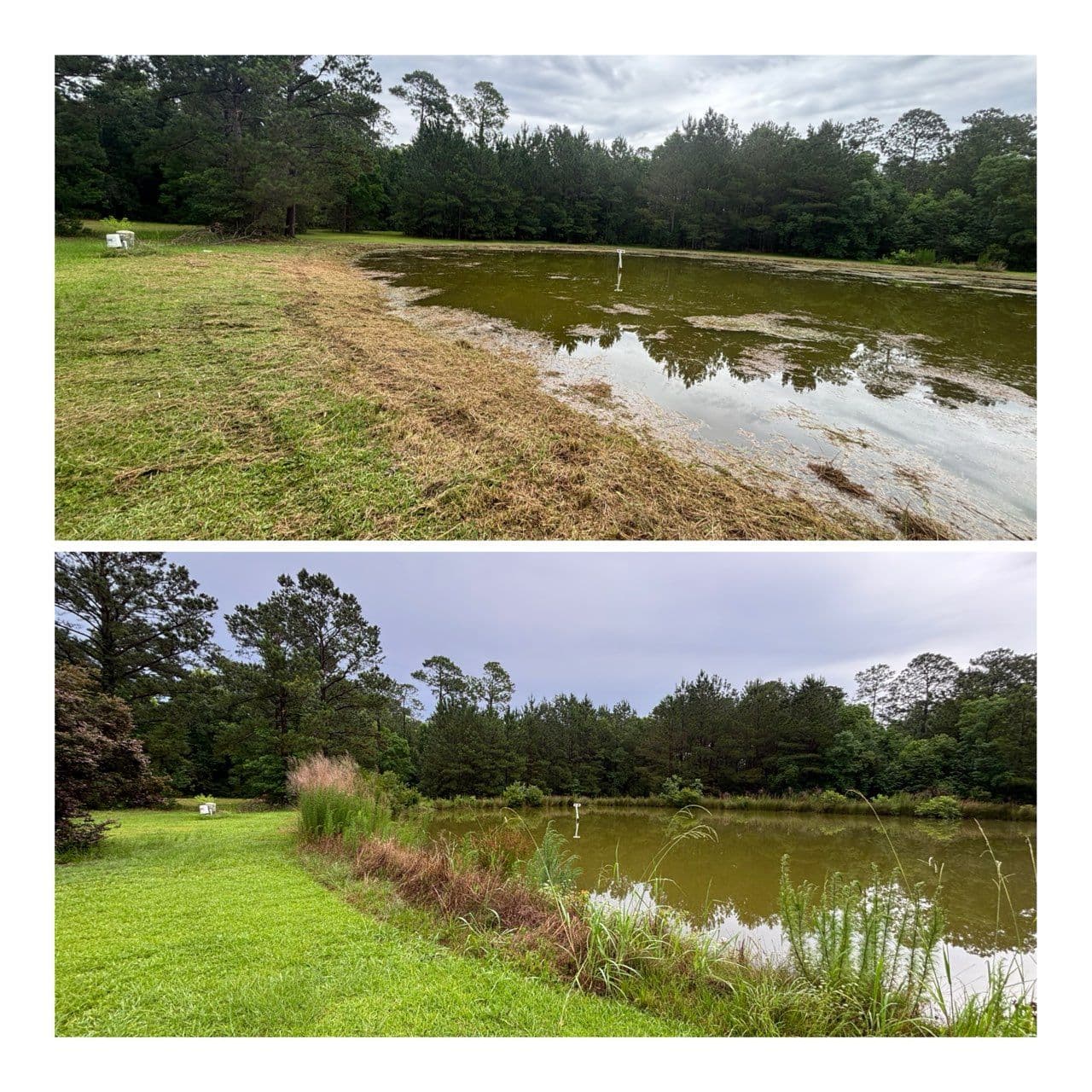 Transform Your Landscape with Pond Mowing Services