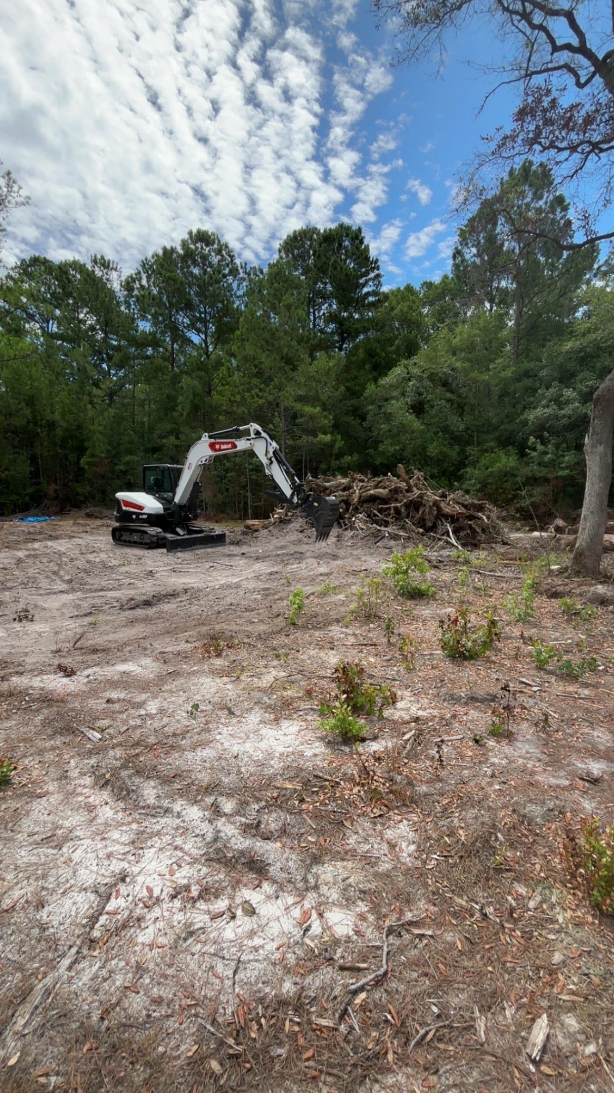 Efficient Land Clearing in Your Community image