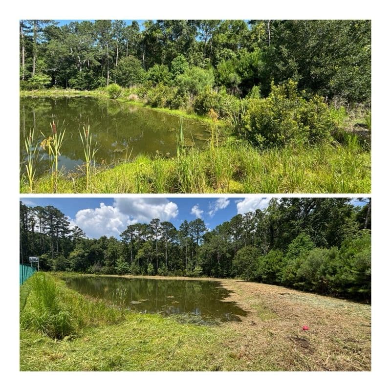 Gallery photos for Transforming Overgrown Ponds into Serene Landscapes: Image #1