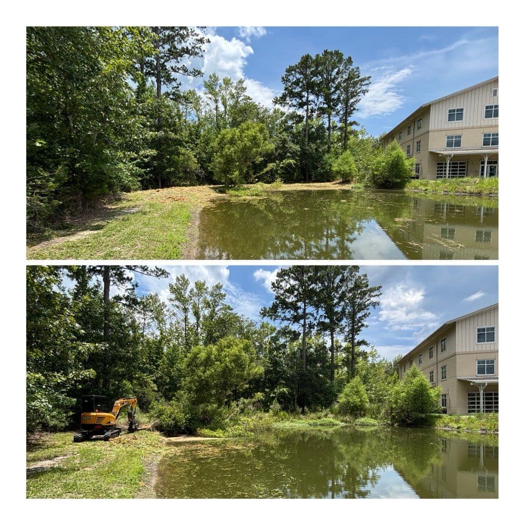 Gallery photos for Transforming Overgrown Ponds into Serene Landscapes: Image #2