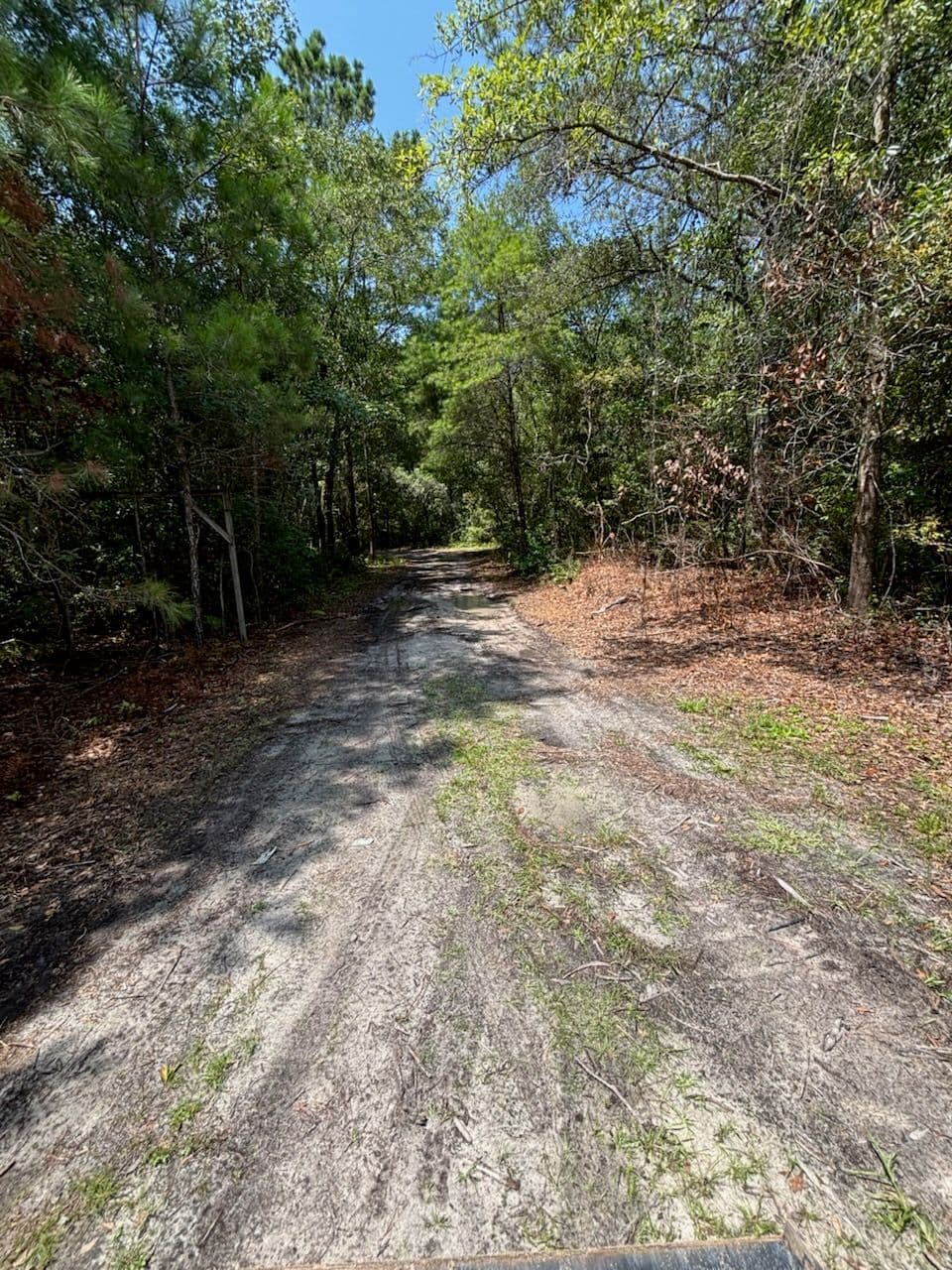 Transform Your Worn-Out Gravel Driveway image