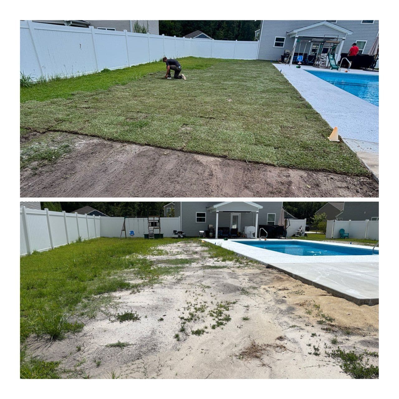 Backyard Transformation with Expert Sod Installation image