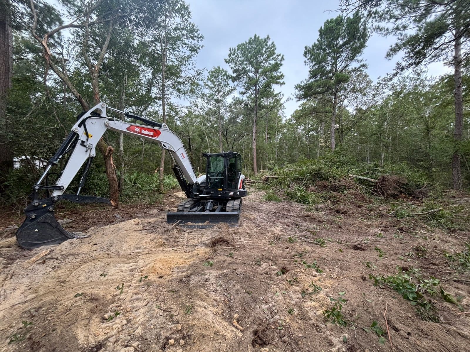 Transformative Land Clearing in Ellabel image