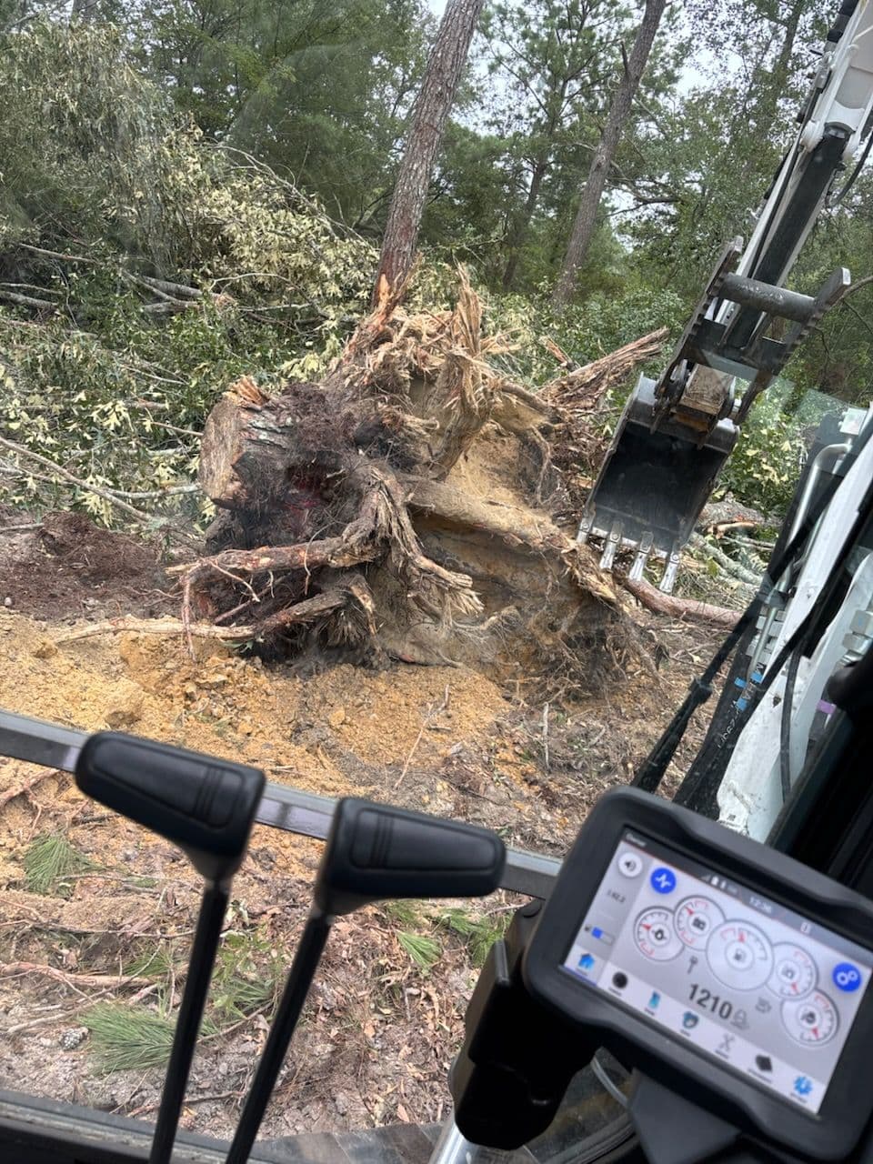 Efficient Stump Removal With Expert Techniques