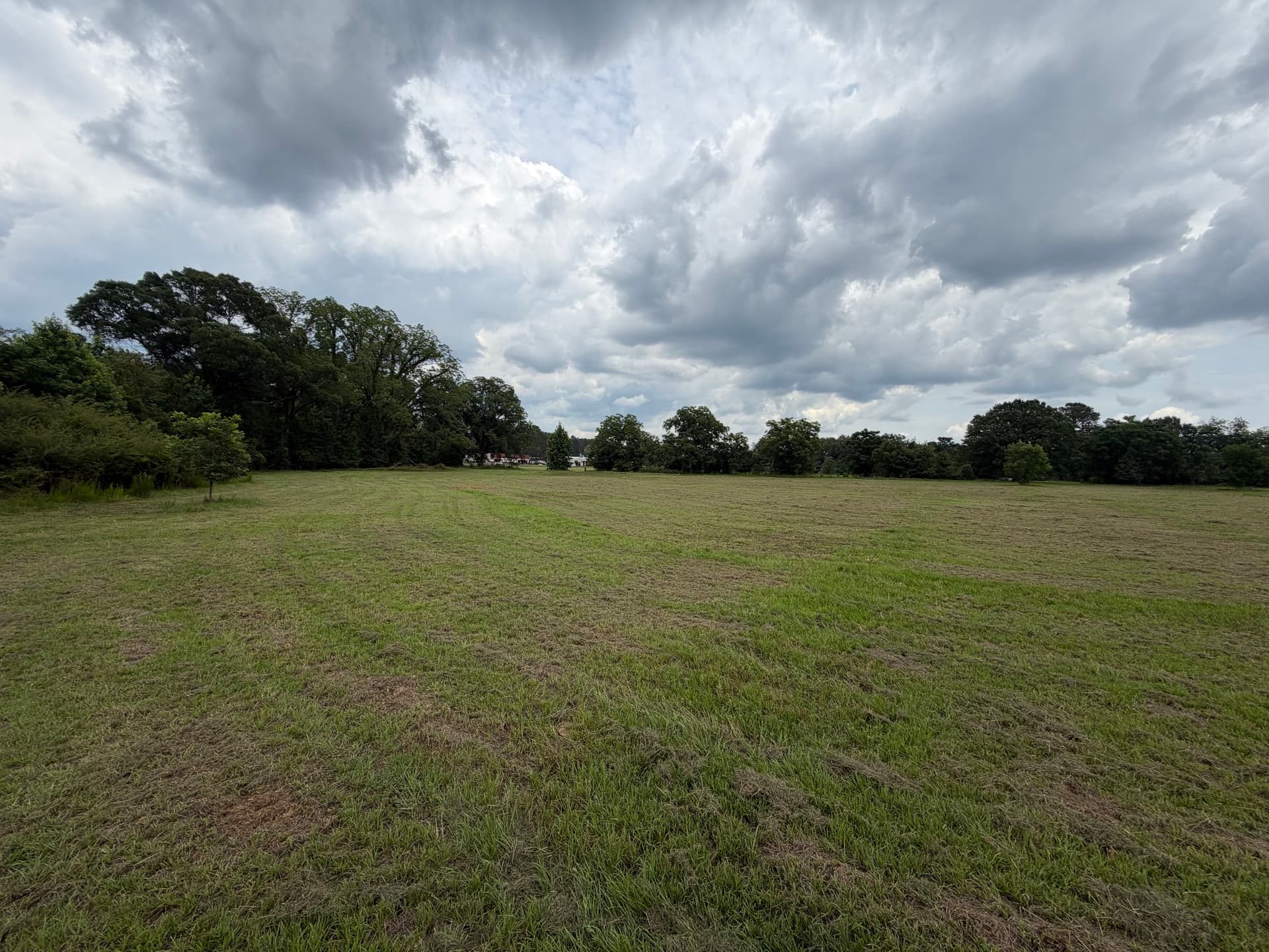 Gallery photos for Bush Hogging That Keeps Any Field Clean and Open: Image #2