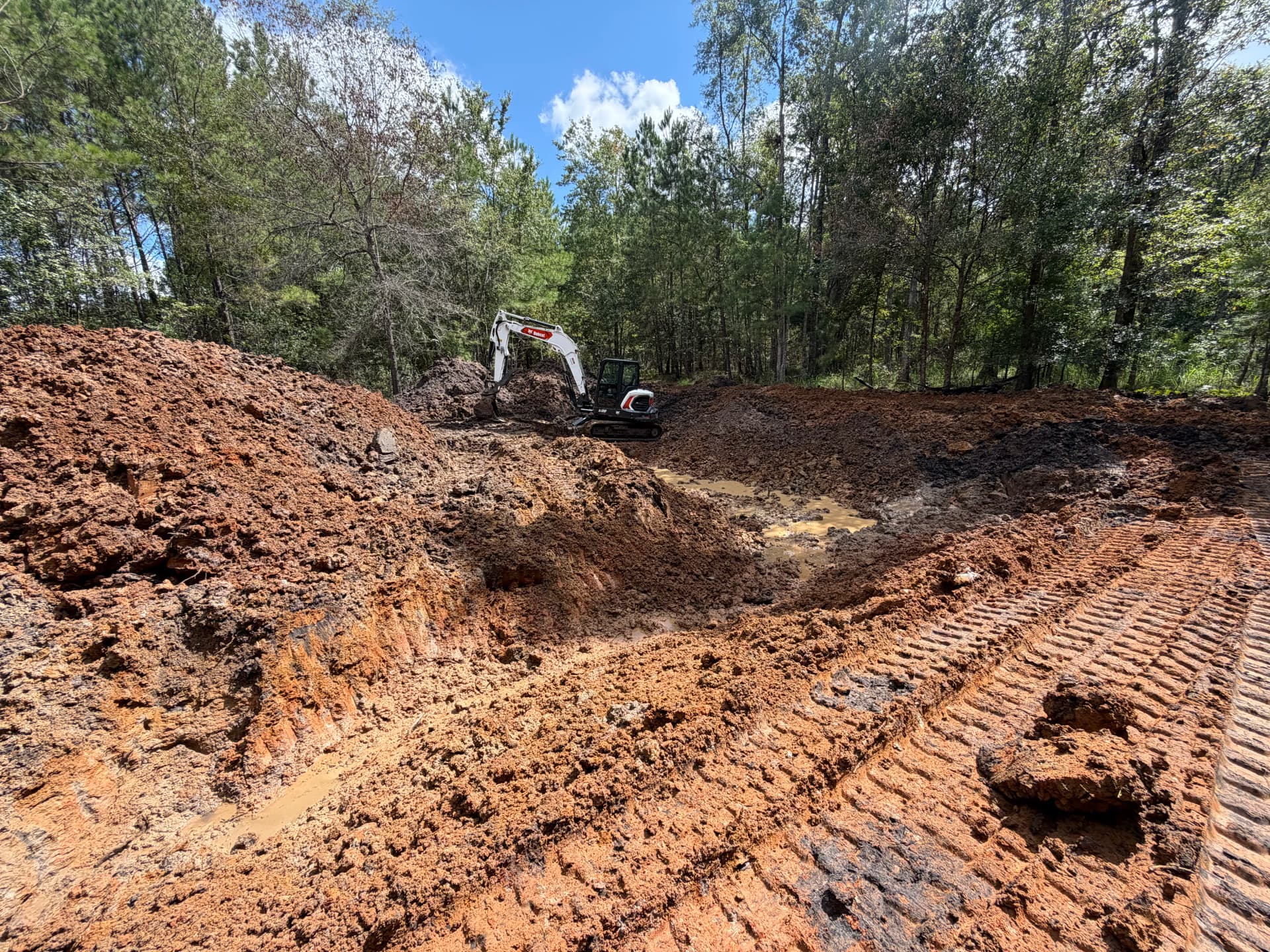 Small Pond Excavation That Adds Drainage and Curb Appeal image