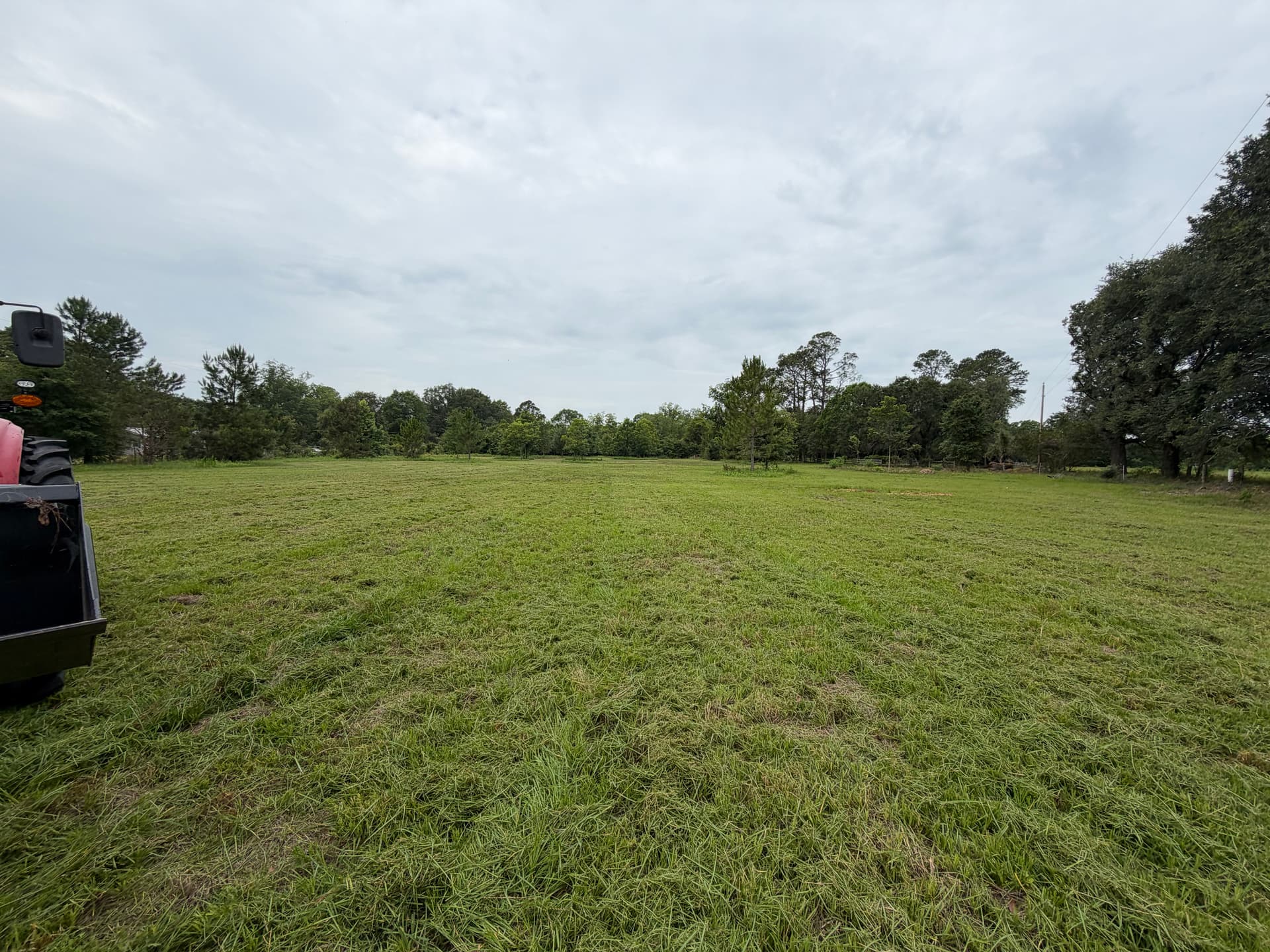 Gallery photos for Bush Hogging That Keeps Any Field Clean and Open: Image #1
