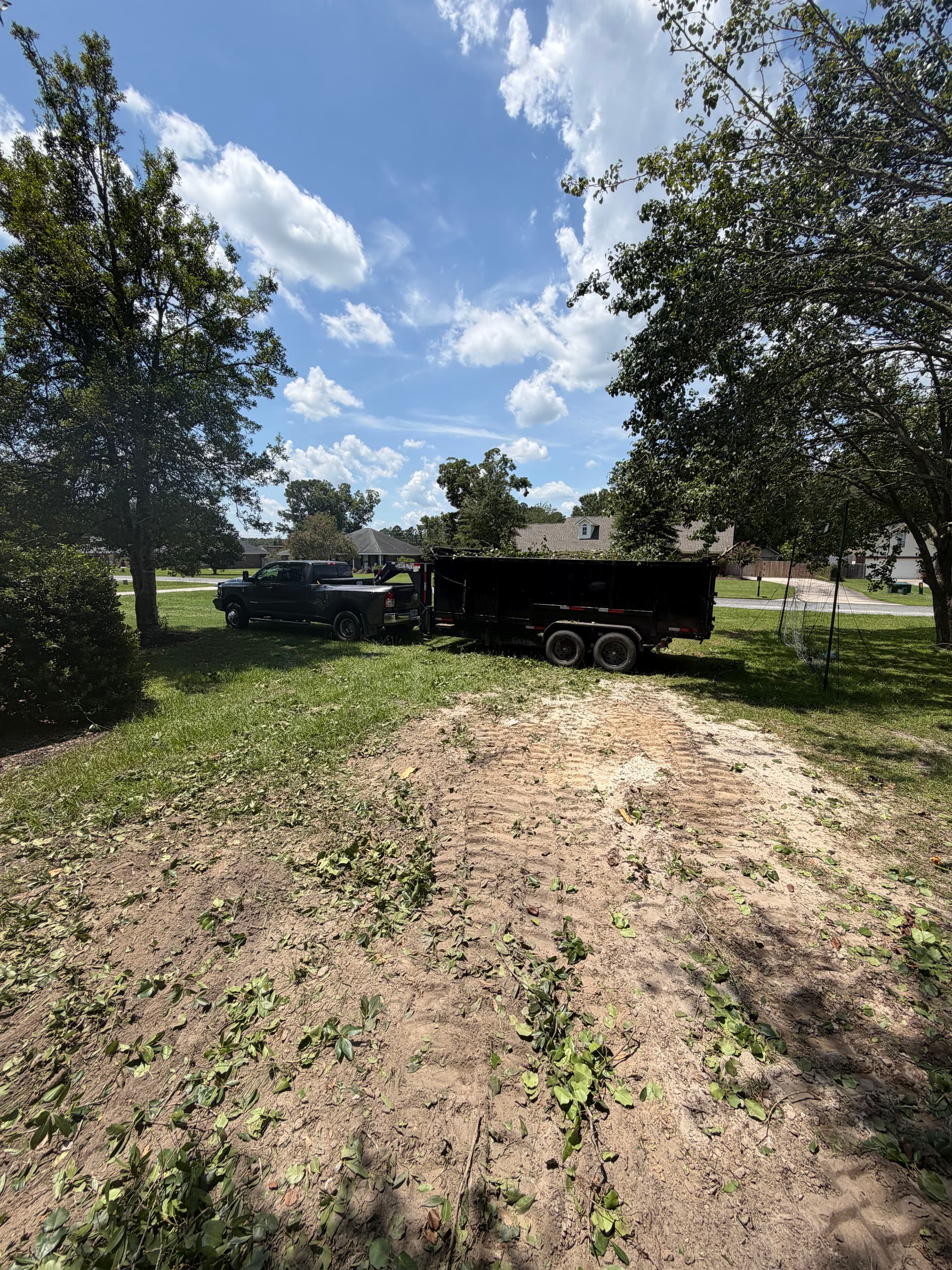 Gallery photos for Tree Removal Done Right - Safer Yard, Open Space: Image #1