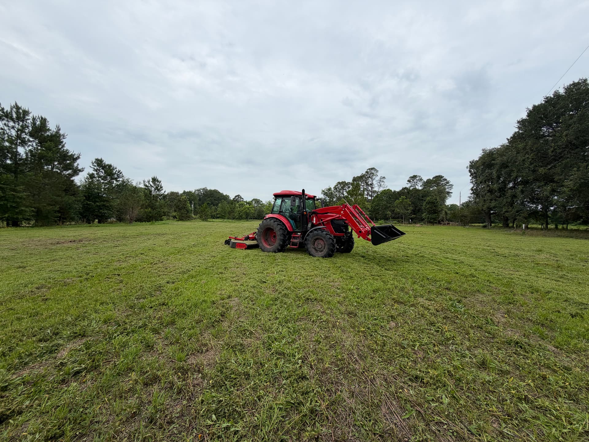 Bush Hogging That Keeps Any Field Clean and Open image