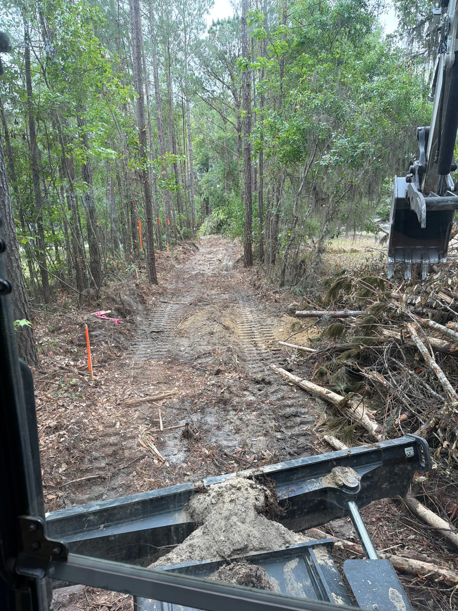Cutting a Clean Driveway Opening Through Dense Woods image