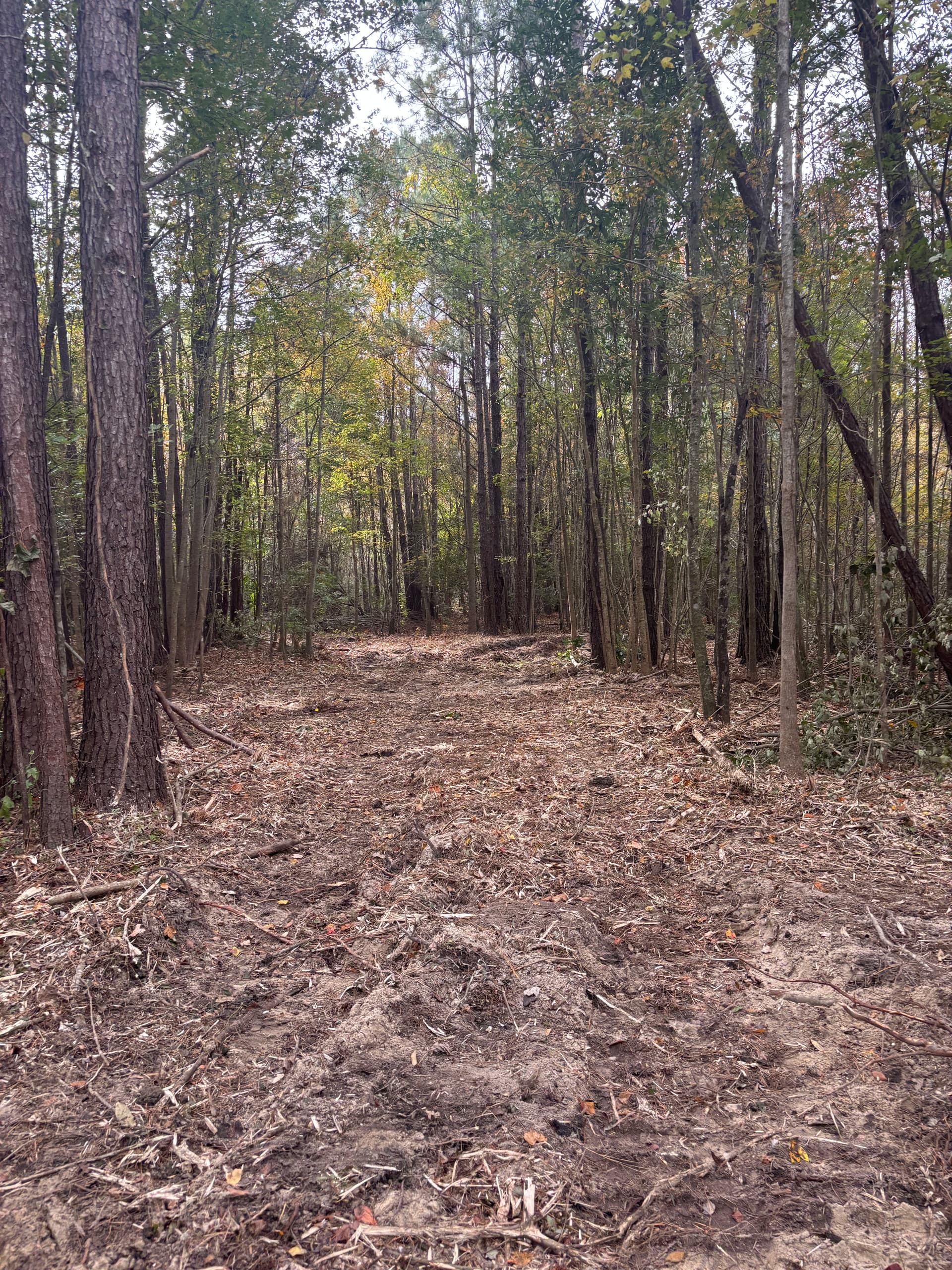 Gallery photos for Brush Removal and Land Clearing in Guyton: Image #1